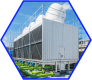 What Does Dober Do Learn More About Us - Best Nature Photos in High Resolution